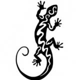 Шлыков Максим Валерьевич